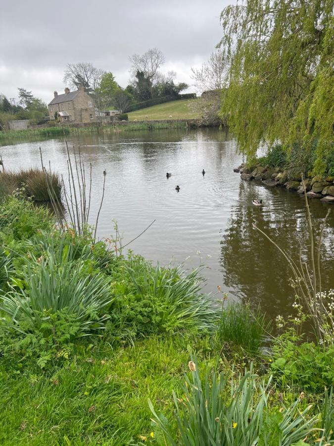 Woodside Cottage Grewelthorpe Nr Masham ริปอน ภายนอก รูปภาพ